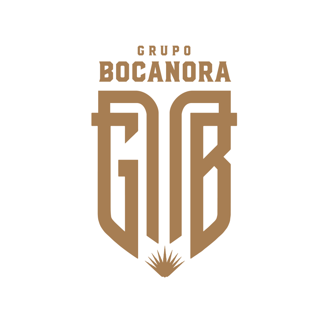 Logo Grupo Bocanora