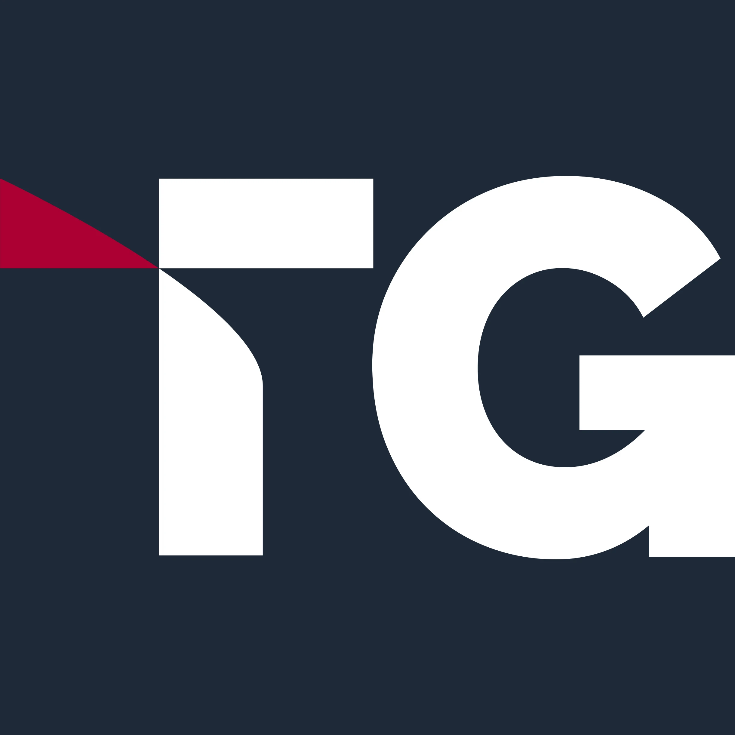Logo Tergum Global